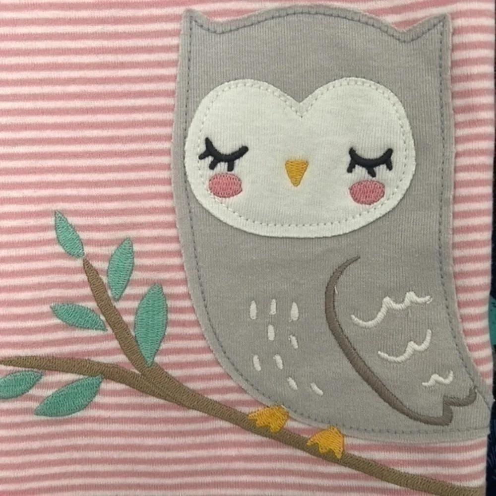 Owl Carter’s Pajamas Set Size 4T Pink & Blue NWT